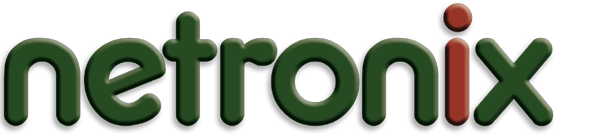 Netronix – SEO in Telford & Shropshire. Retina Logo